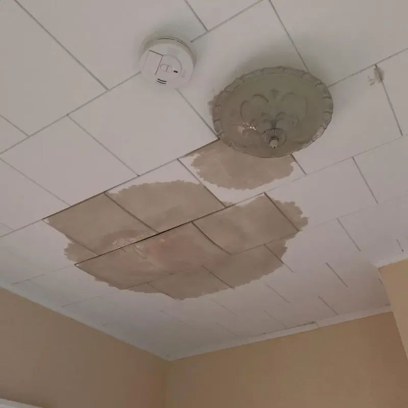 Ceiling Water Damage Repair in Stockville, NE