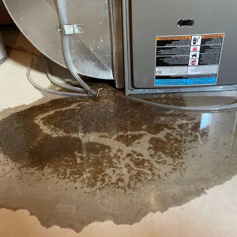 Pipe Burst and Leak Restoration in Stockville, NE