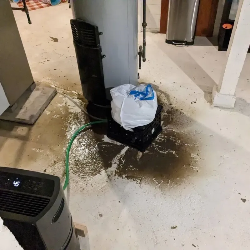 Sewage Backup Cleanup Service in Stockville, NE